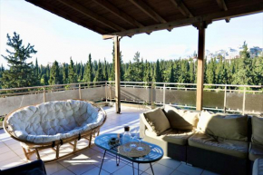 Unique penthouse with Acropolis view in the heart of Athens!